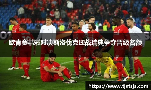 欧青赛精彩对决斯洛伐克迎战瑞典争夺晋级名额